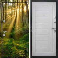 Металлическая дверь Фотопечать №147